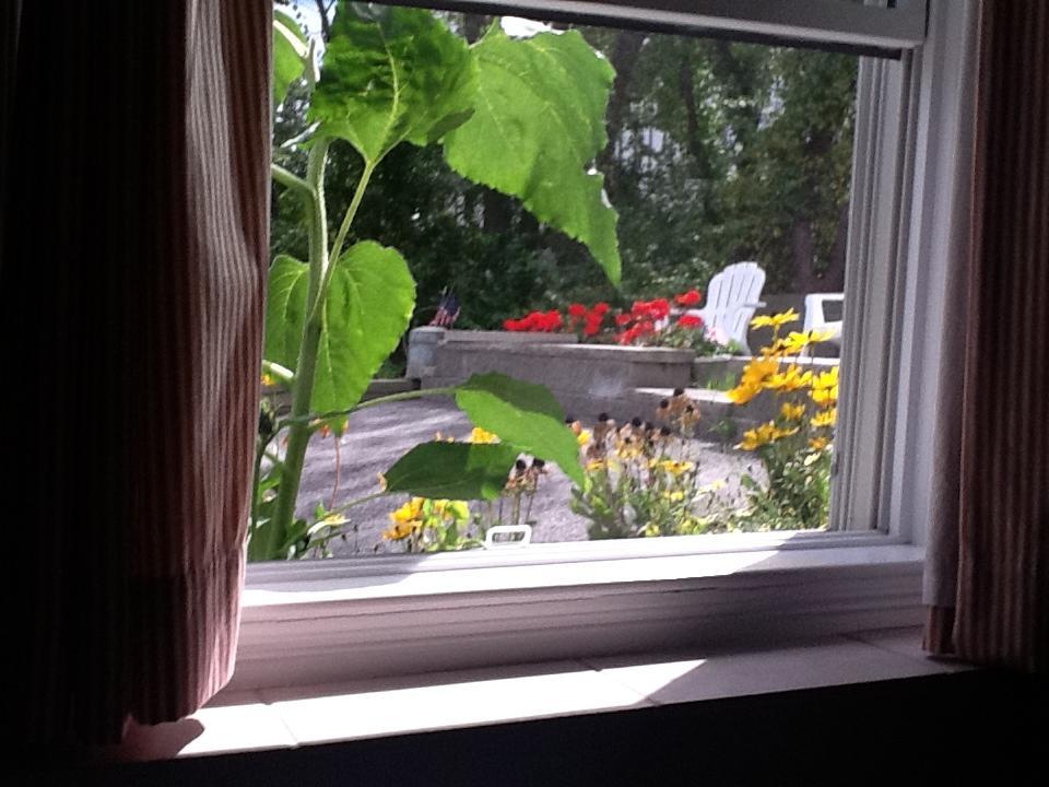 Josephine'S On The Bay Bed And Breakfast Хъл Екстериор снимка